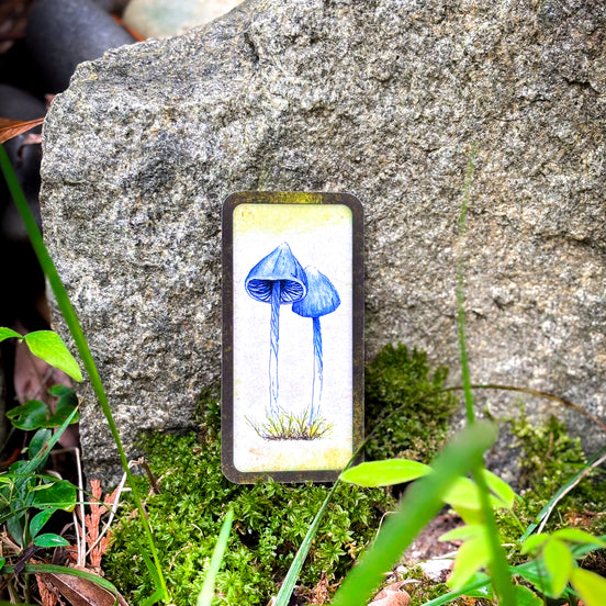 🍄 Affirmation cards for woman - Embrace Fungi Wisdom with the Mushroom Affirmation Deck - 40 Affirmation cards