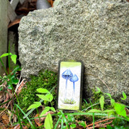 🍄 Affirmation cards for woman - Embrace Fungi Wisdom with the Mushroom Affirmation Deck - 40 Affirmation cards