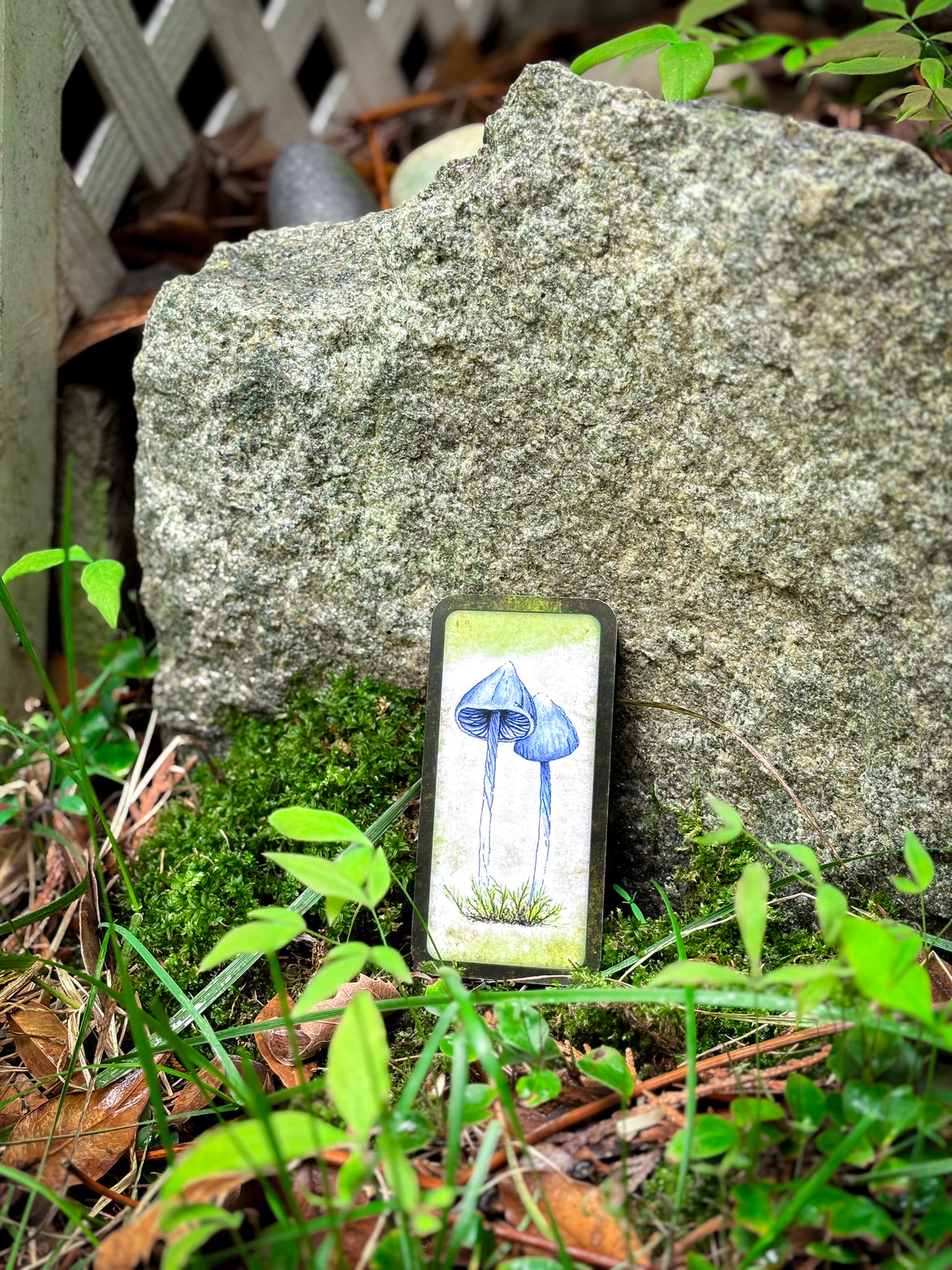🍄 Affirmation cards for woman - Embrace Fungi Wisdom with the Mushroom Affirmation Deck - 40 Affirmation cards