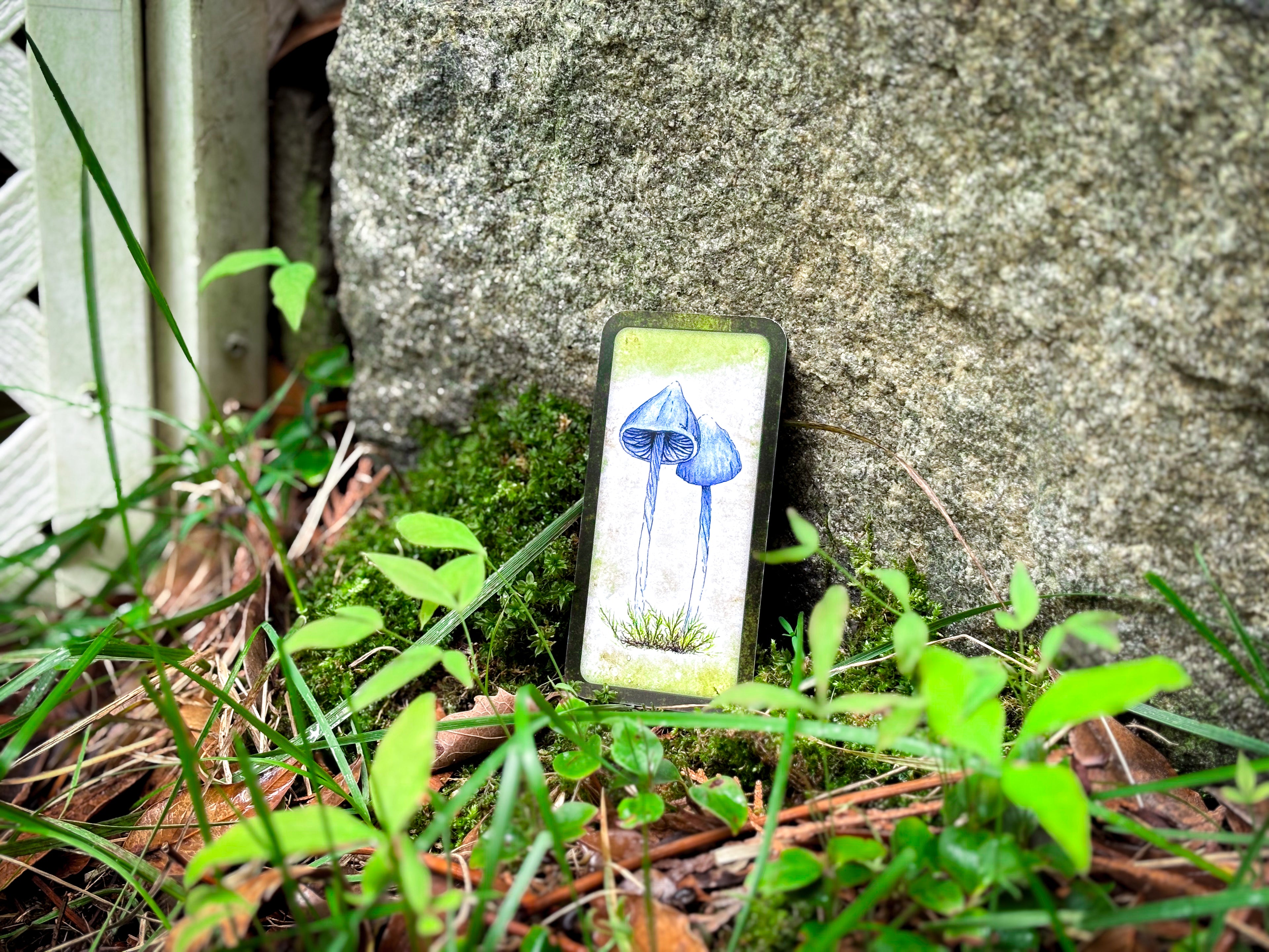 🍄 Embrace Fungi Wisdom with the Mushroom Affirmation Deck - 40 Affirmation cards