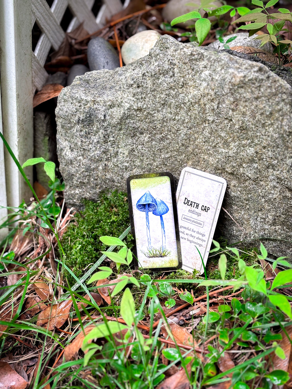 🍄 Embrace Fungi Wisdom with the Mushroom Affirmation Deck - 40 Affirmation cards