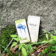 🍄 Affirmation cards for woman - Embrace Fungi Wisdom with the Mushroom Affirmation Deck - 40 Affirmation cards