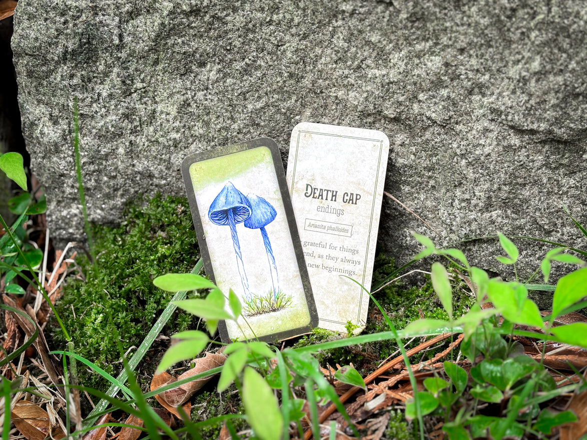 🍄 Affirmation cards for woman - Embrace Fungi Wisdom with the Mushroom Affirmation Deck - 40 Affirmation cards