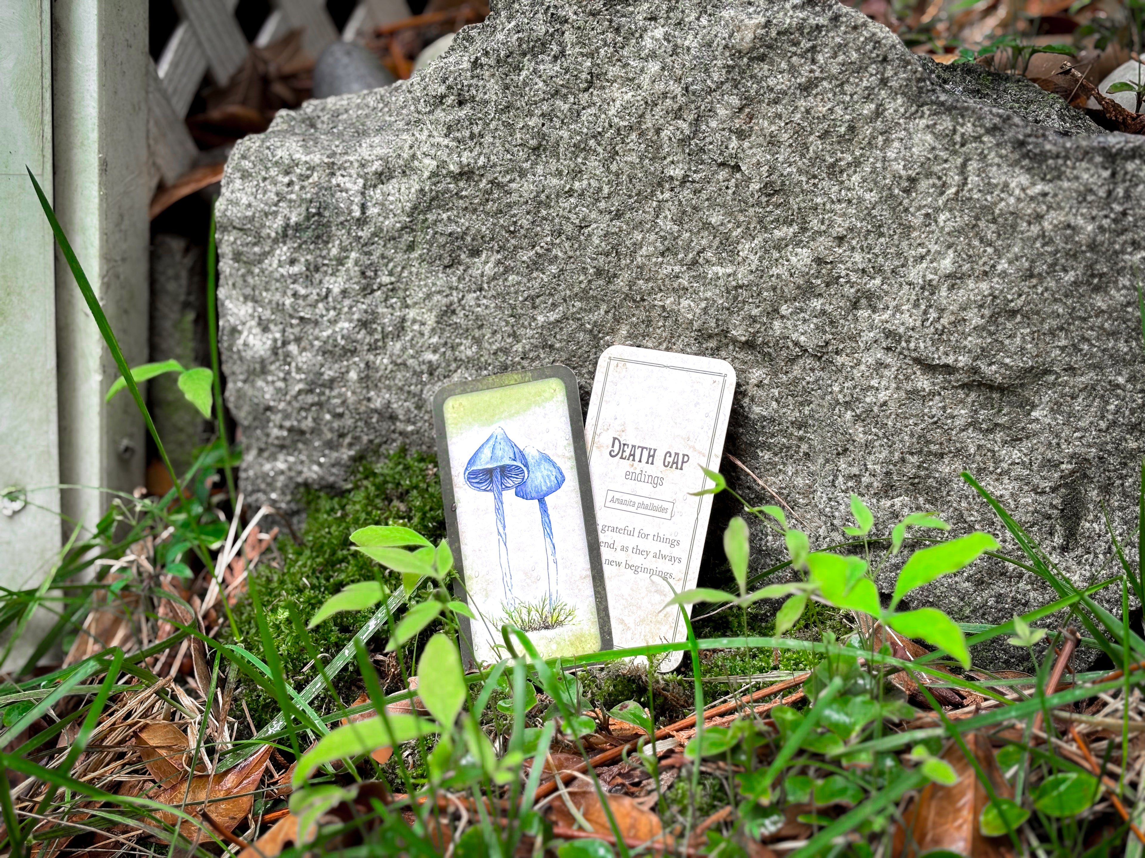 🍄 Embrace Fungi Wisdom with the Mushroom Affirmation Deck - 40 Affirmation cards