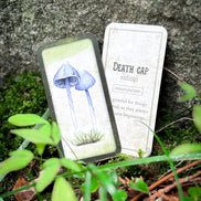 🍄 Affirmation cards for woman - Embrace Fungi Wisdom with the Mushroom Affirmation Deck - 40 Affirmation cards
