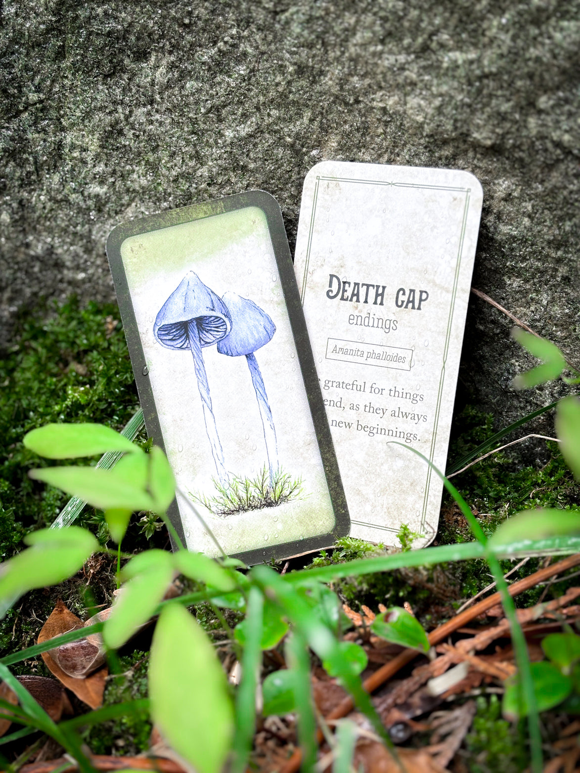 🍄 Affirmation cards for woman - Embrace Fungi Wisdom with the Mushroom Affirmation Deck - 40 Affirmation cards