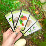 🍄 Affirmation cards for woman - Embrace Fungi Wisdom with the Mushroom Affirmation Deck - 40 Affirmation cards