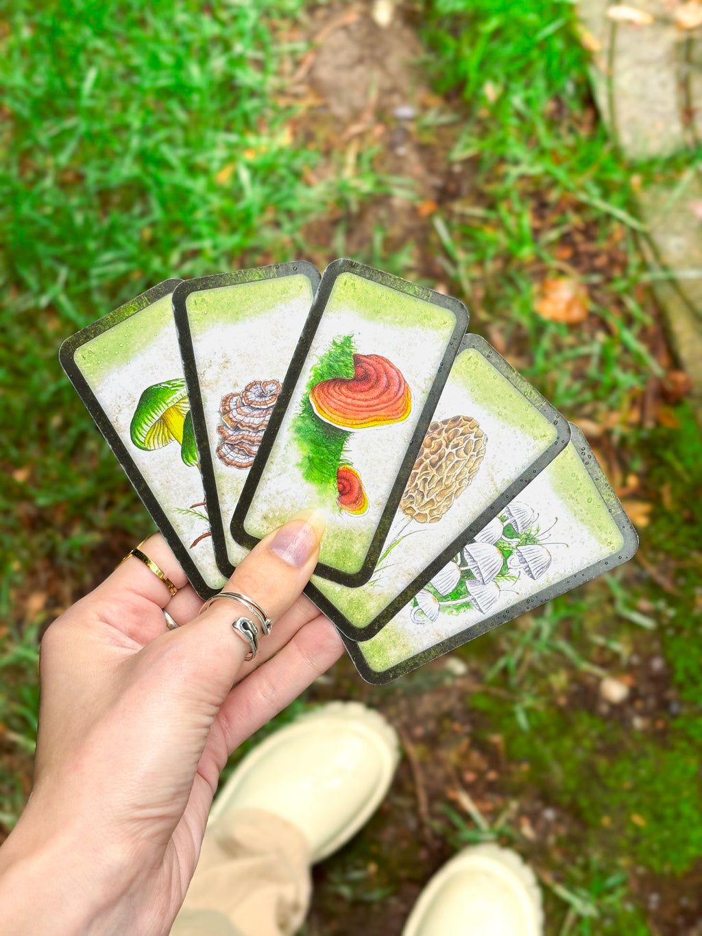 🍄 Embrace Fungi Wisdom with the Mushroom Affirmation Deck - 40 Affirmation cards