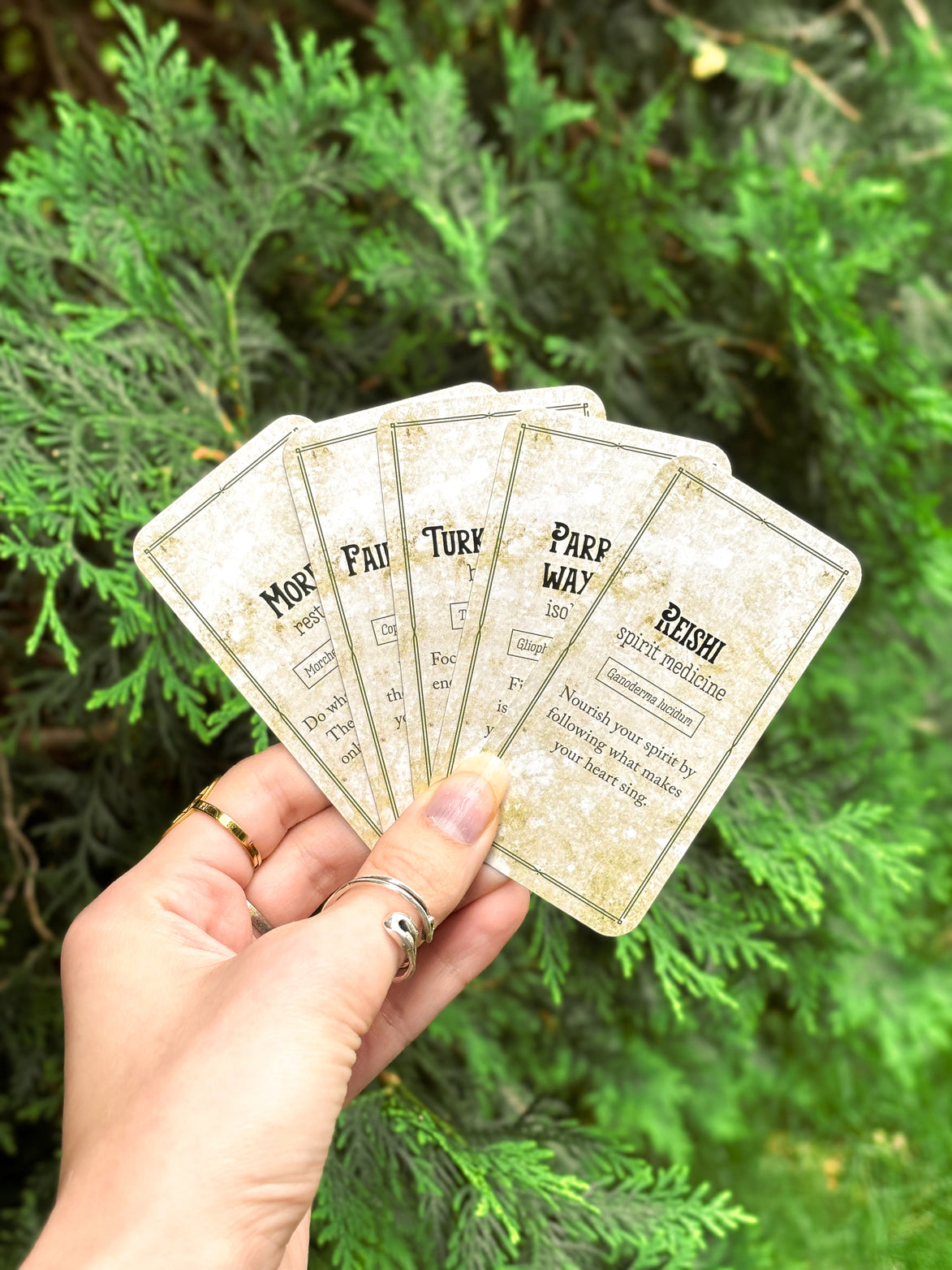 🍄 Affirmation cards for woman - Embrace Fungi Wisdom with the Mushroom Affirmation Deck - 40 Affirmation cards