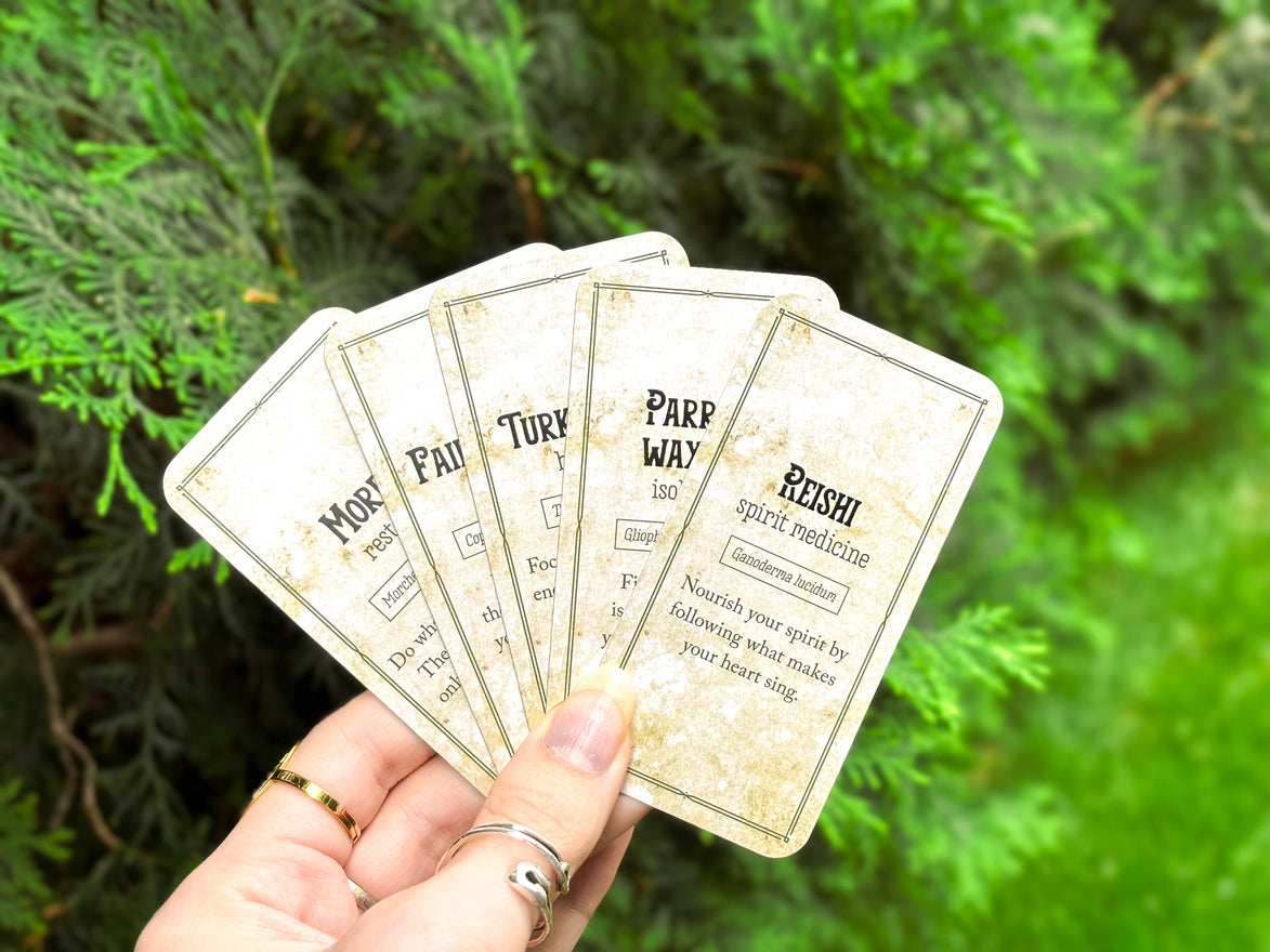 🍄 Affirmation cards for woman - Embrace Fungi Wisdom with the Mushroom Affirmation Deck - 40 Affirmation cards