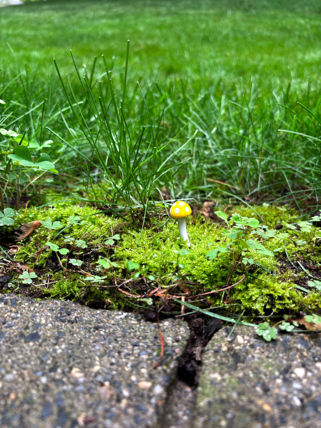 Enchant Your Garden with Handmade Mystical Woodland Mushroom Picks 🍄✨