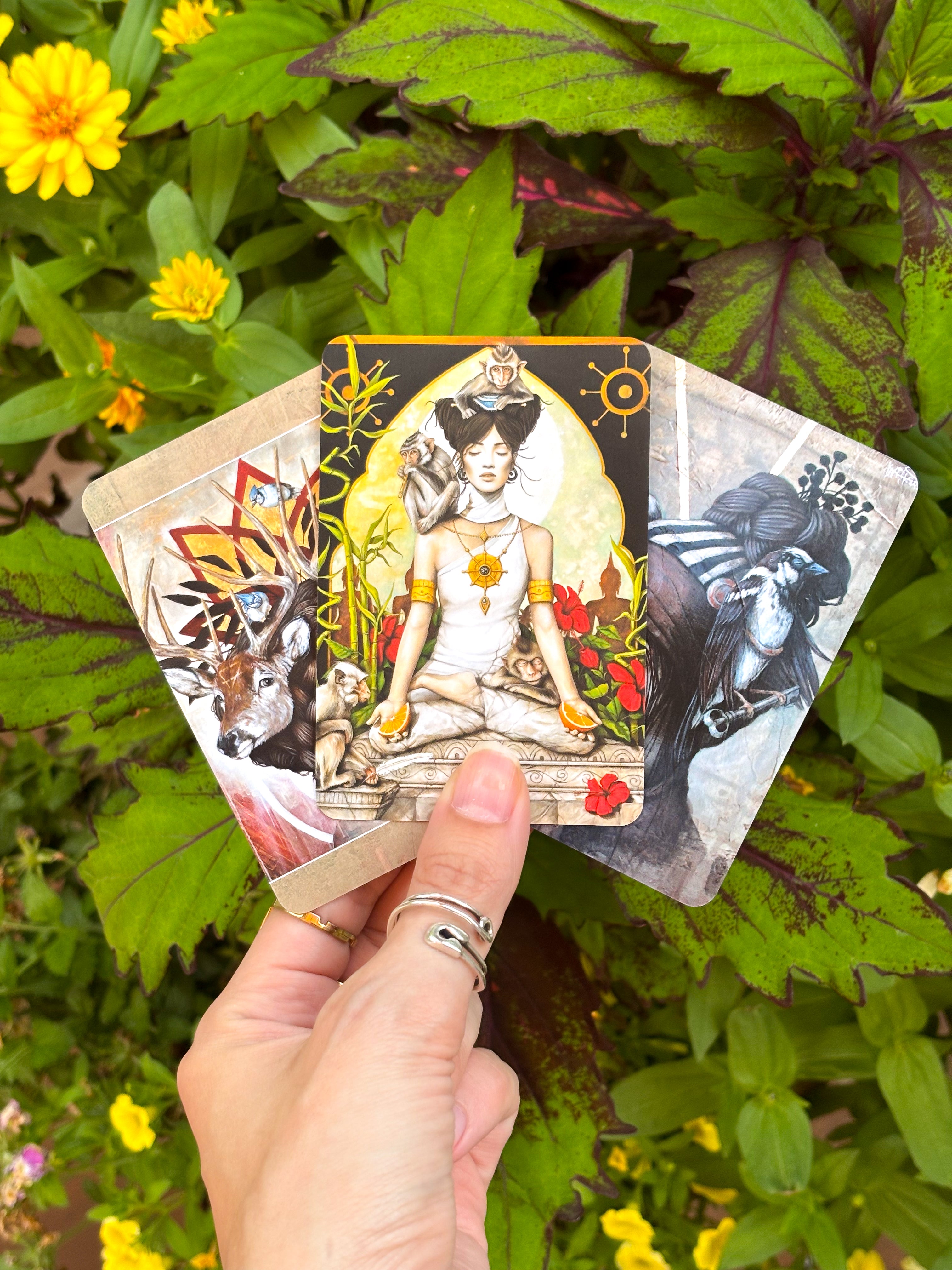 Monthly Spiritual Subscription Box 2025 | Goddess Provisions