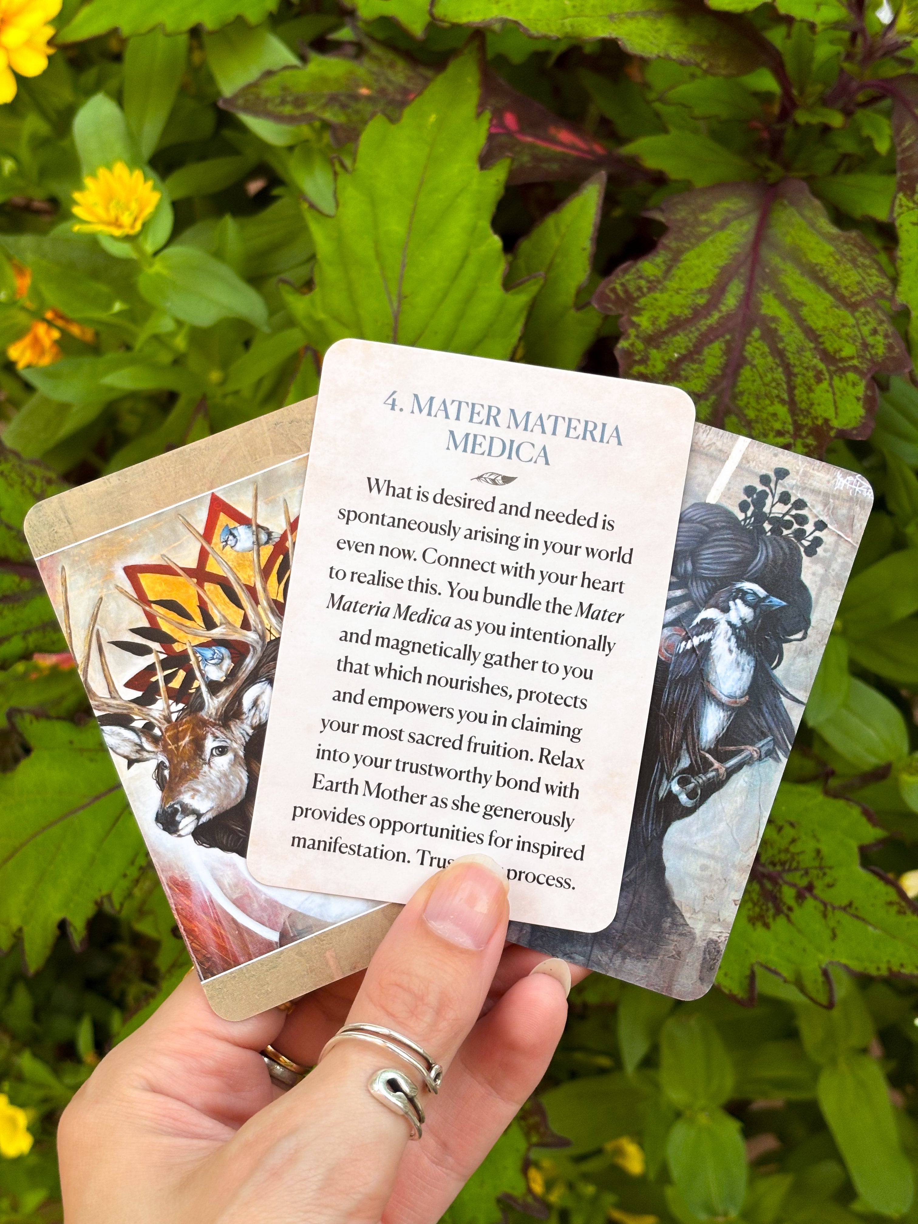 Monthly Spiritual Subscription Box 2025 | Goddess Provisions