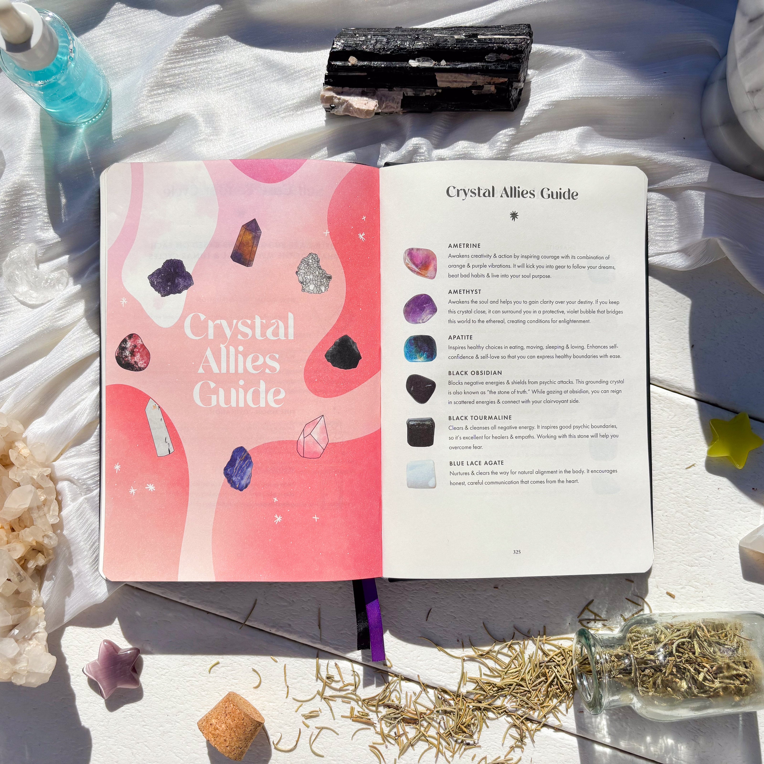 2025 Lunar Insights Planner - many moons lunar planner 2025 - Goddess Provisions