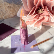 Seeds of Intention Box