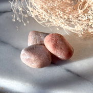 Seeds of Intention Box