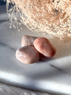 Seeds of Intention Box