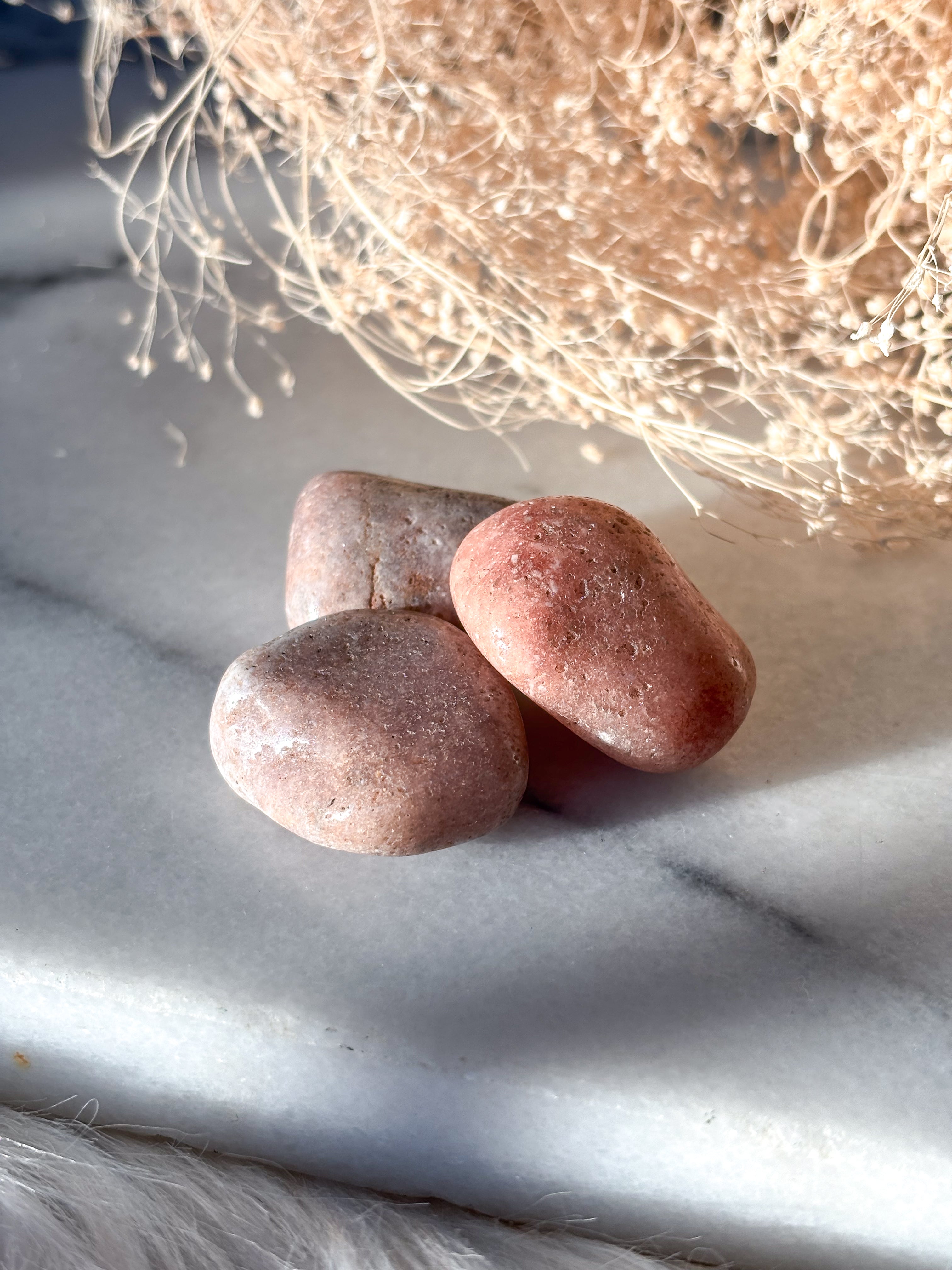 Seeds of Intention Box