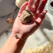 Seeds of Intention Box