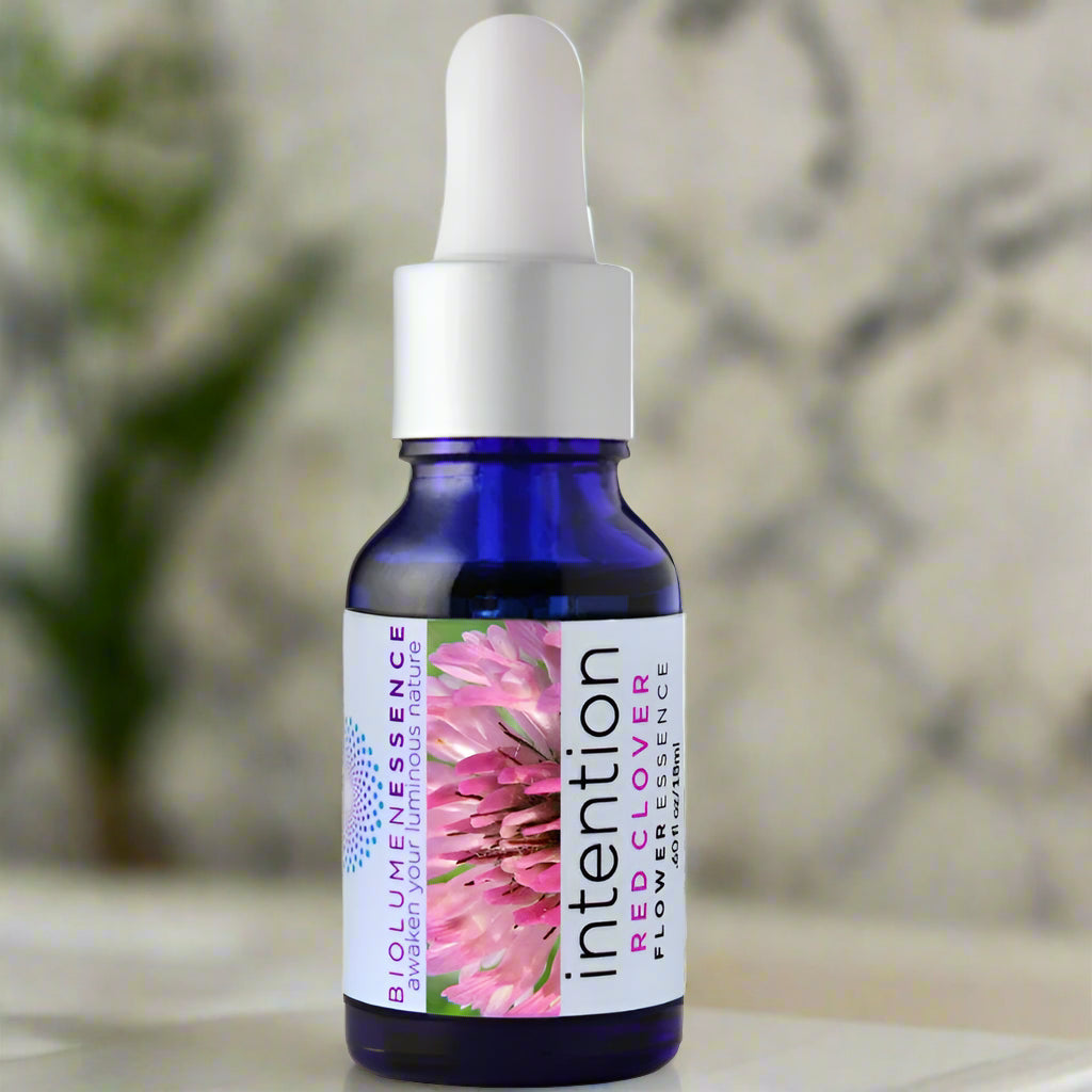 Intention essence Red Clover flower essence Bath oil body oil