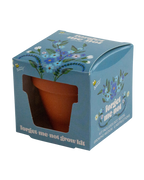 Mini Grow Kit Goddess Provisions blank background