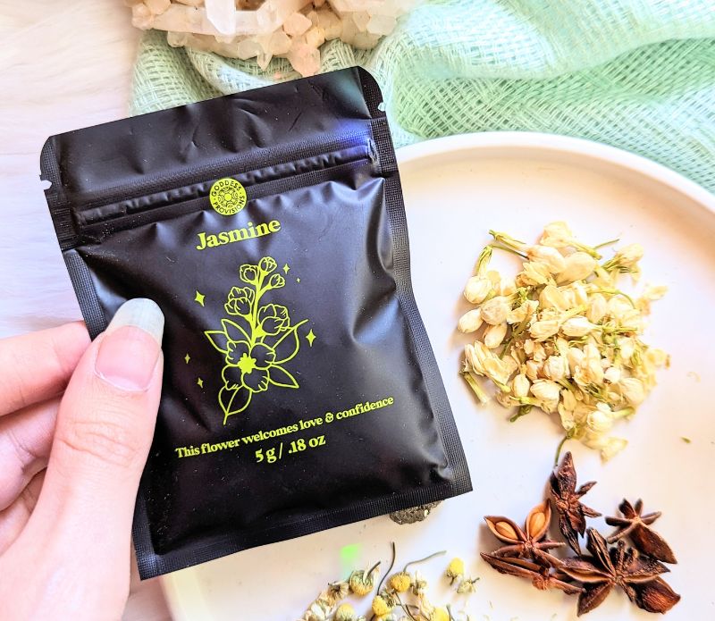 Attract Abundance 2025 bundle pack - Silver Lunar Planner - Moon Planner