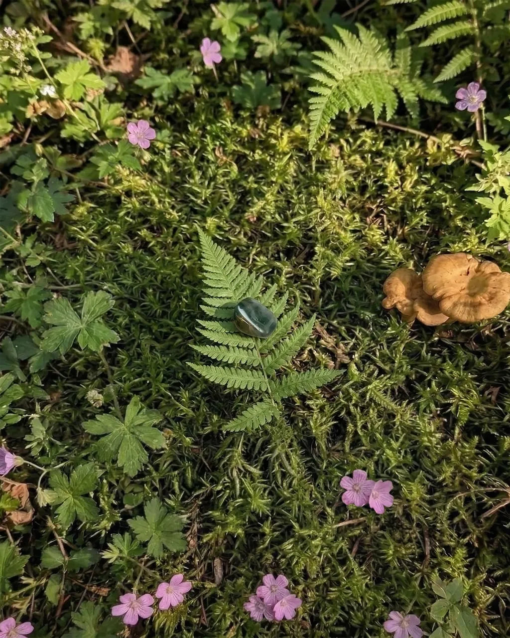 moss agate crystal for grounding, abundance, and connection to nature energy