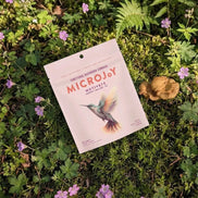 functional mushroom gummies for focus, clarity, and natural daily energy support