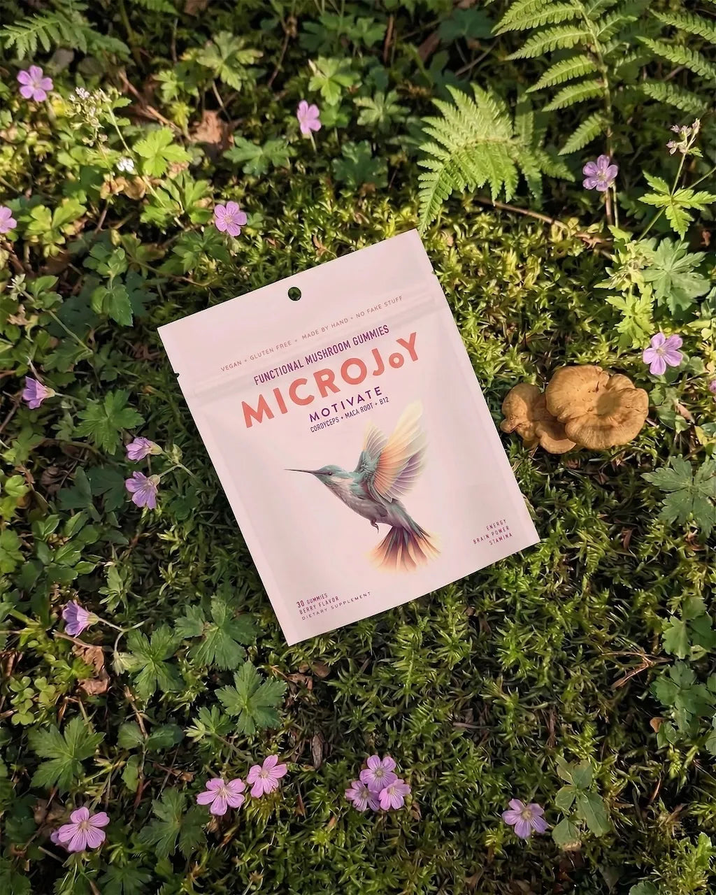 functional mushroom gummies for focus, clarity, and natural daily energy support