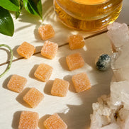 focus mushroom supplement gummies for cognitive support and balanced mood