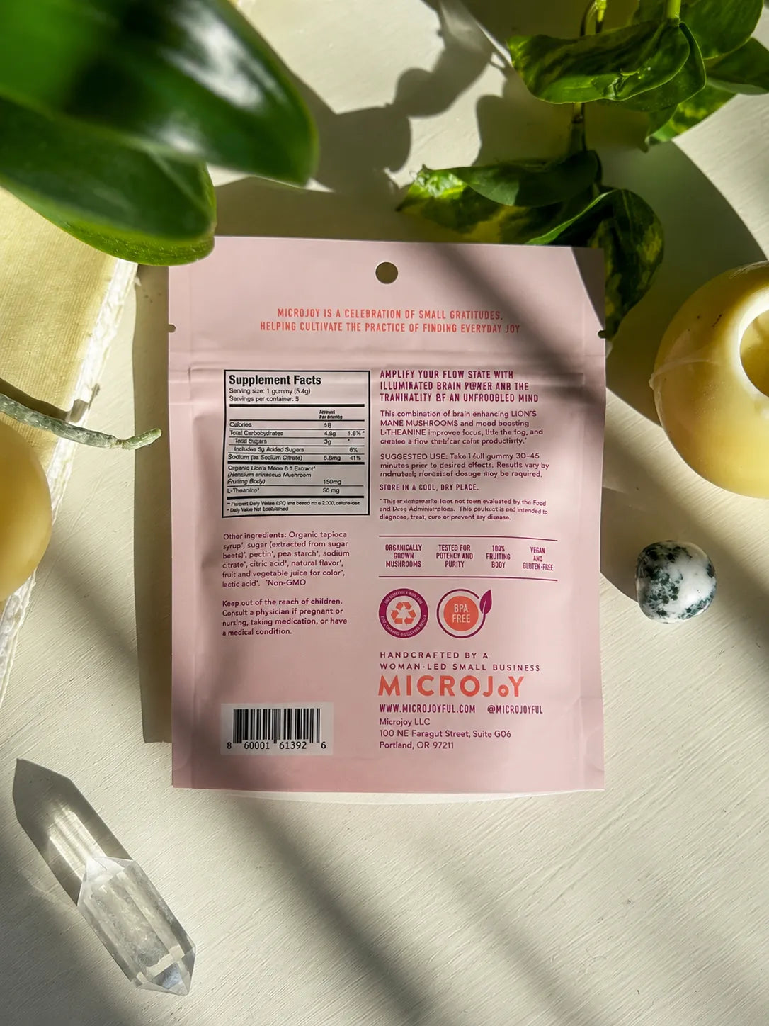 vegan mushroom gummies for brain health, concentration, and daily wellness support