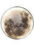 Full Moon LED Wall Light