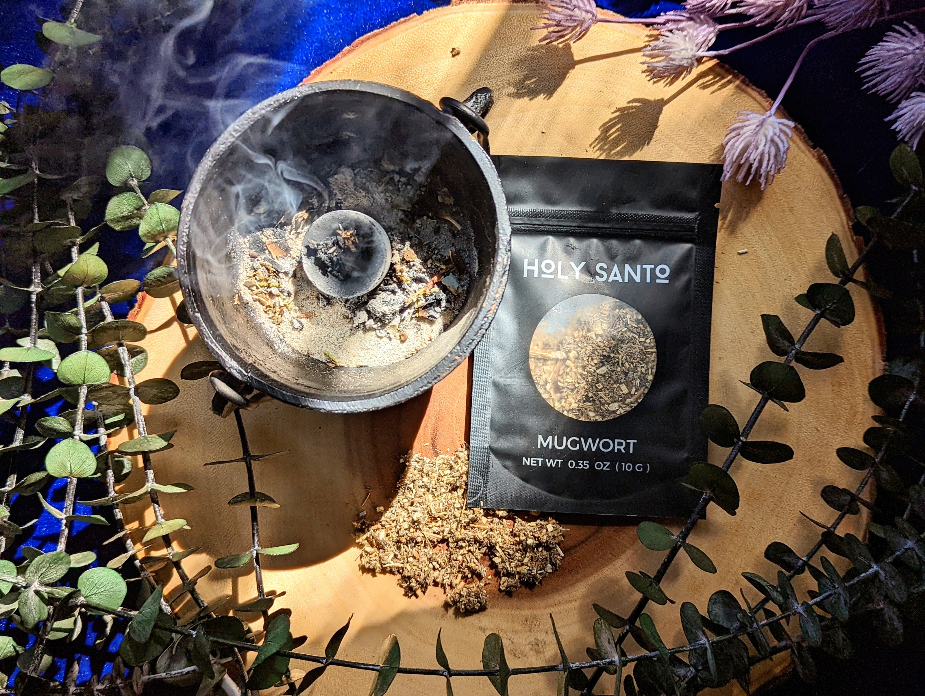 Mugwort Herbs | Holy Santo