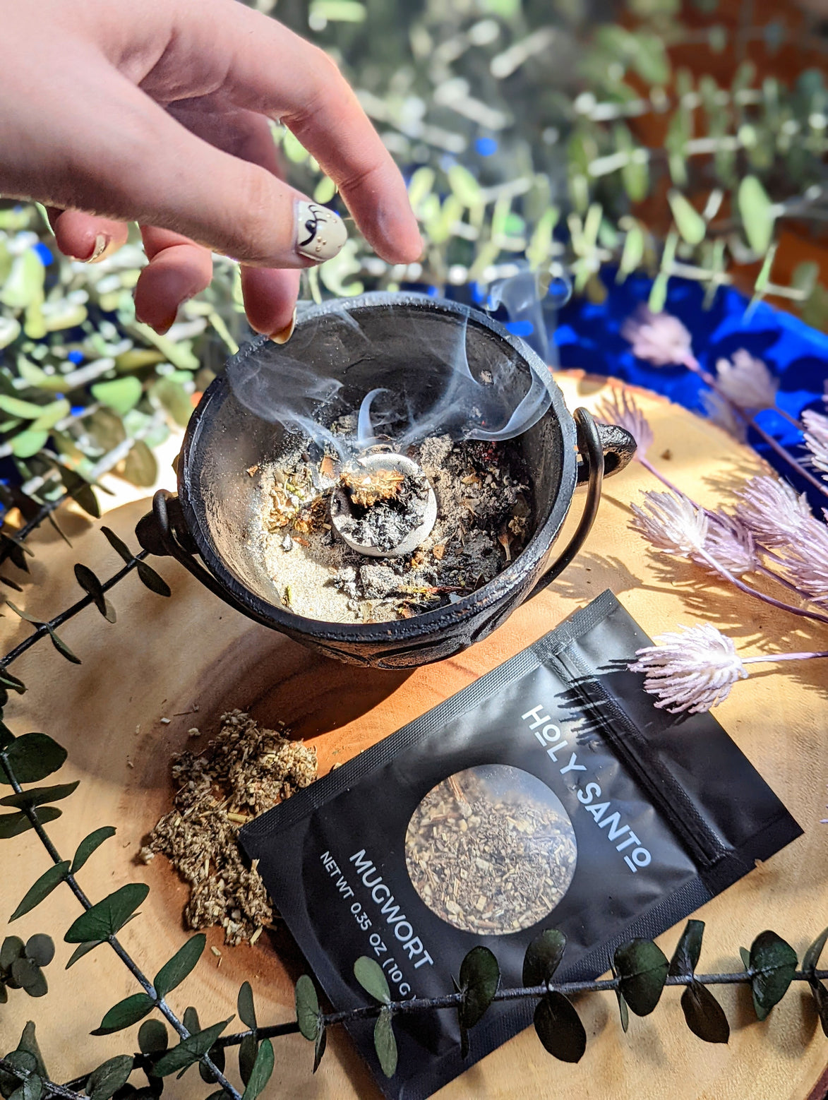 Mugwort Herbs | Holy Santo