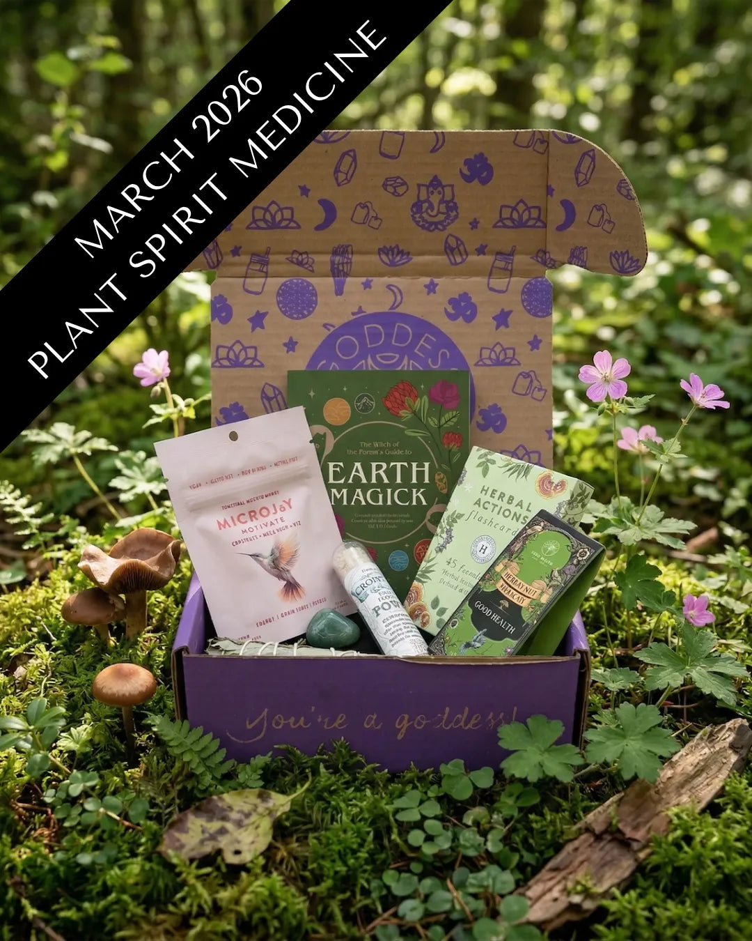 March Plant Spirit Medicine box with herbal tools, crystals, and nature-inspired ritual items.
