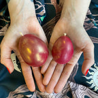 🔥 Phoenix Egg Candle – Ritual Fire for Rebirth, Renewal & Personal Power