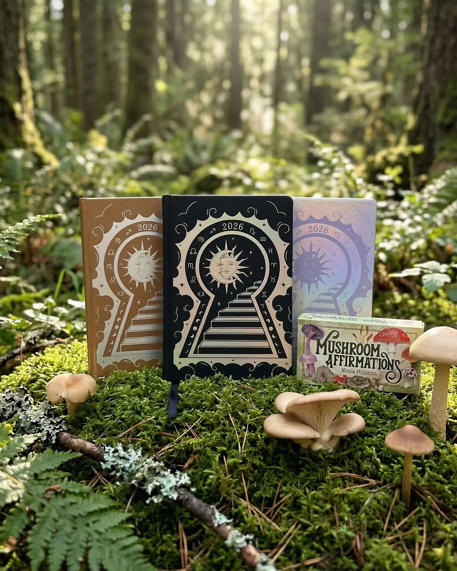 Manifestation Mindset Bundle