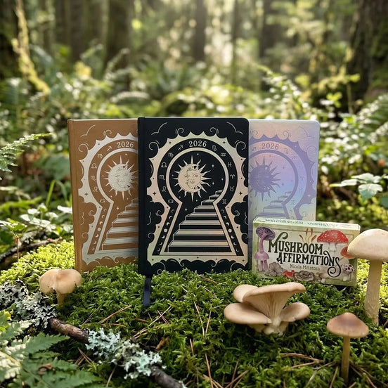 Manifestation Mindset Bundle