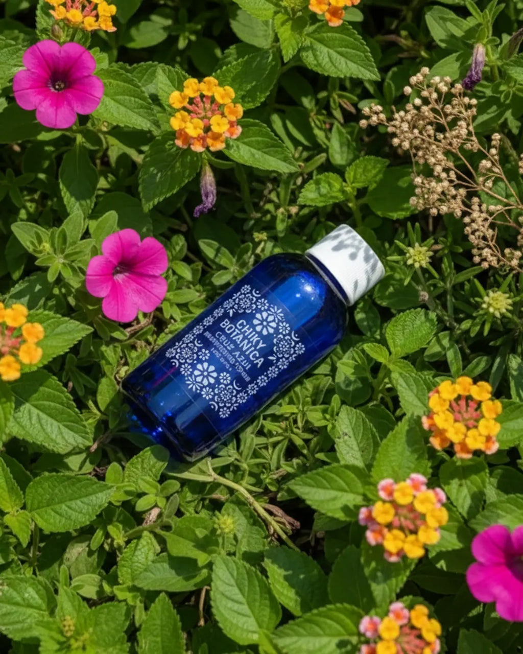 Radiant Reset Bundle