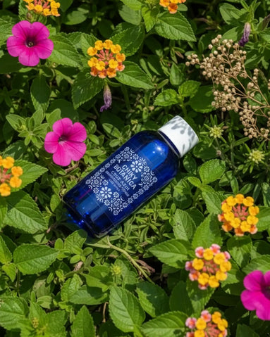 Radiant Reset Bundle