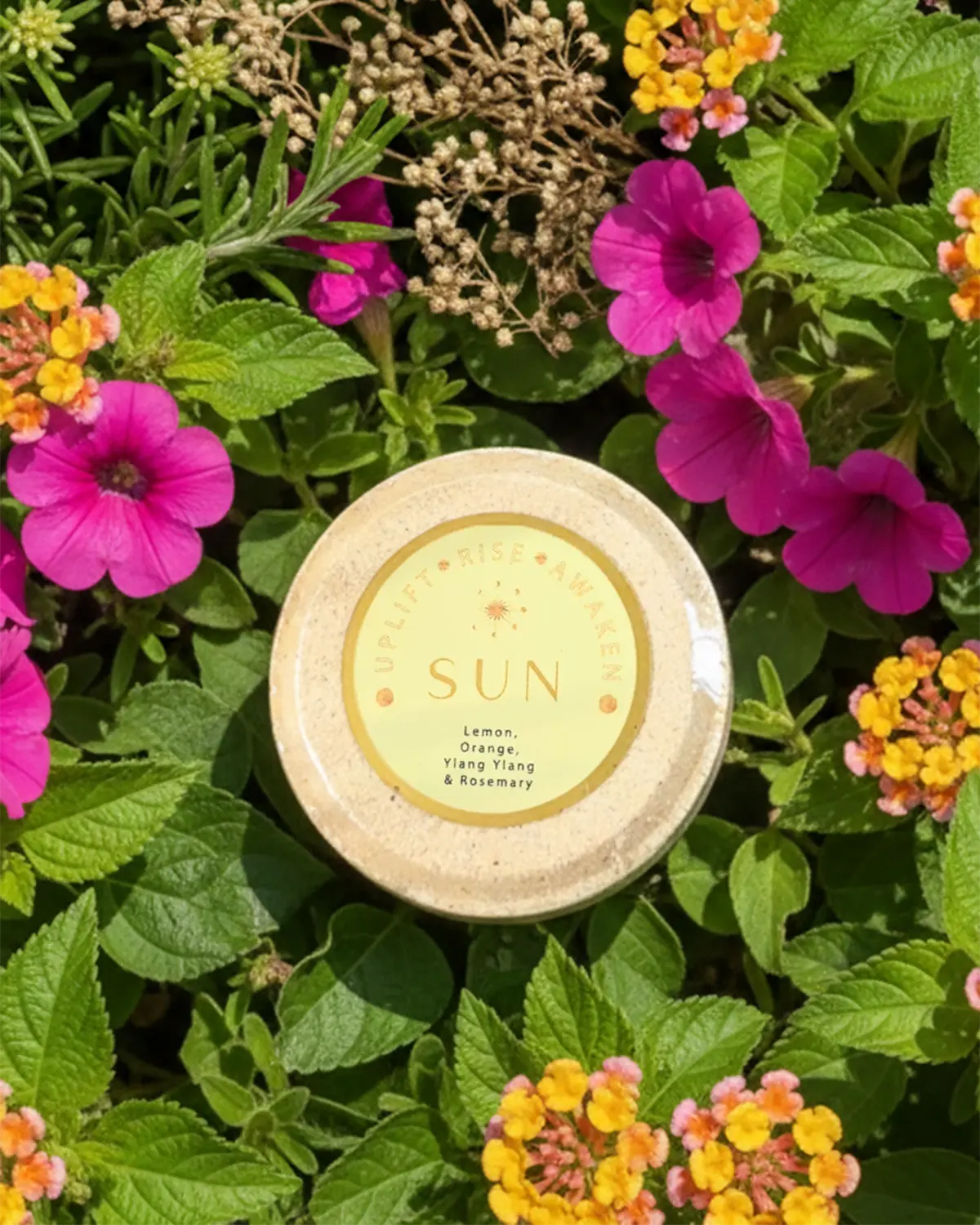 Radiant Reset Bundle