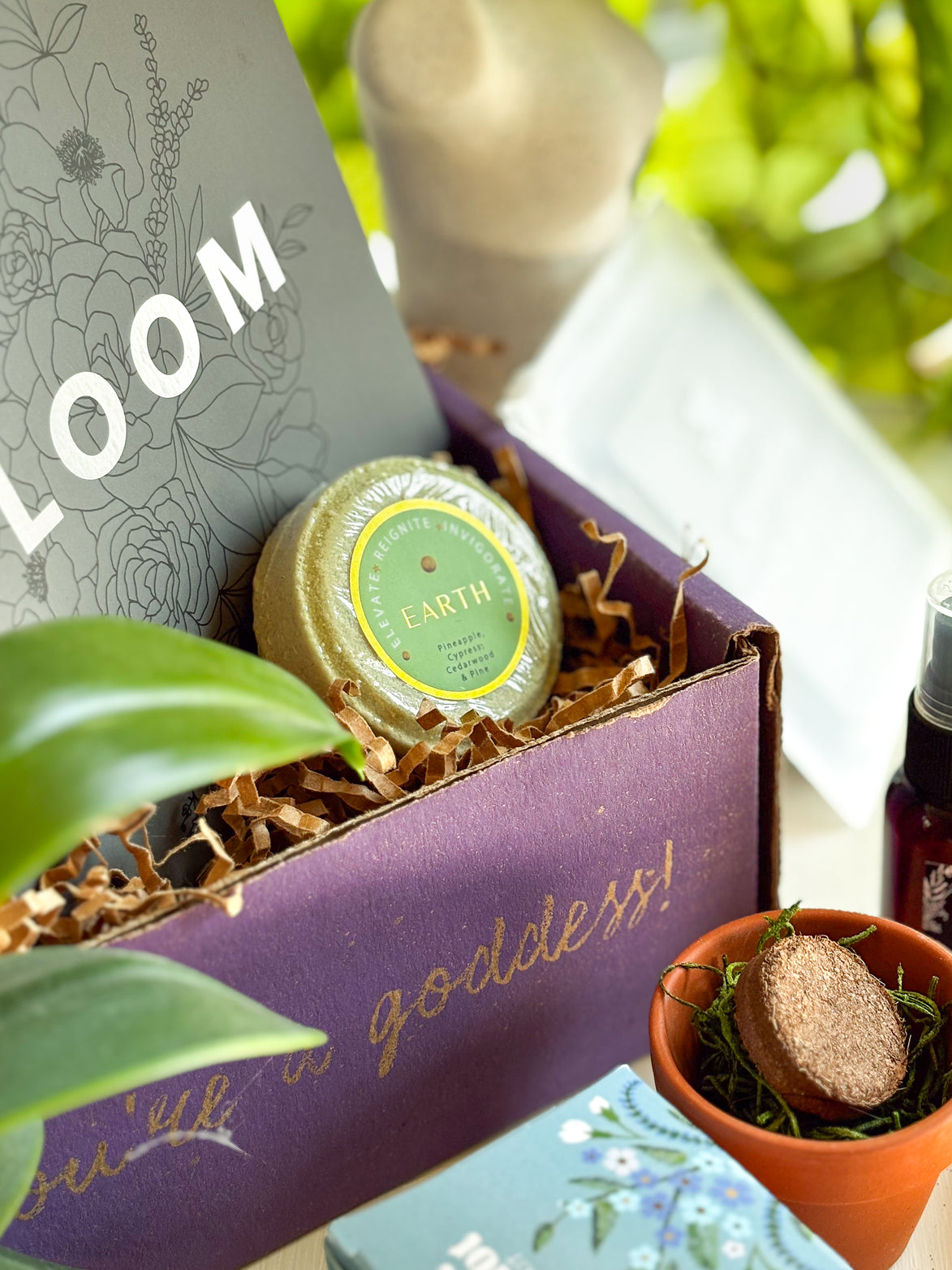 Earth Shower Steamer - Pineapple - Cypress Cederwood and Pine essential oils