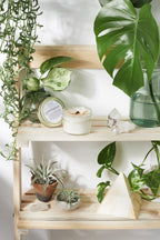 Organic Space Clearing Intention Candle