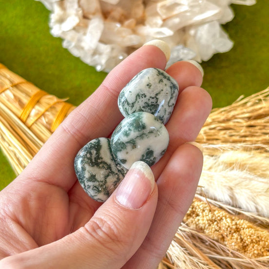 Tumbled Tree Agate crystal with natural green and white patterns for grounding energy.
