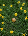 Tumbled citrine crystal associated with abundance, optimism, and personal power.