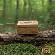 Woodland Whispers Bundle