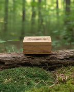 Woodland Whispers Bundle