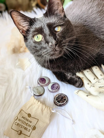Black cat with green and cloudy eye lying on white fluffy surface in Divination Practices article