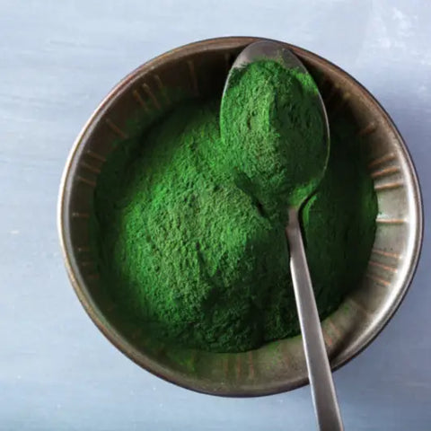 Why you Should be Consuming Spirulina on a Daily Basis by Goddess Provisions