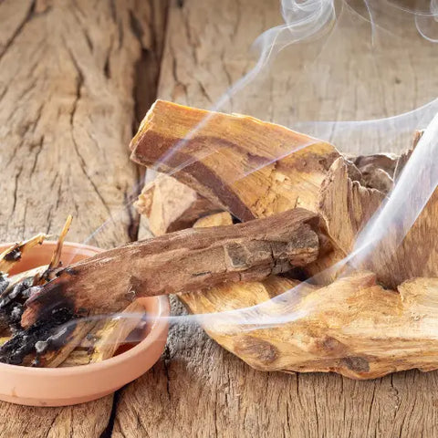 The Magic of Palo Santo Goddess Provisions